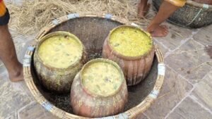 WhatsApp Image 2025-11-25 at 6.45.55 PM