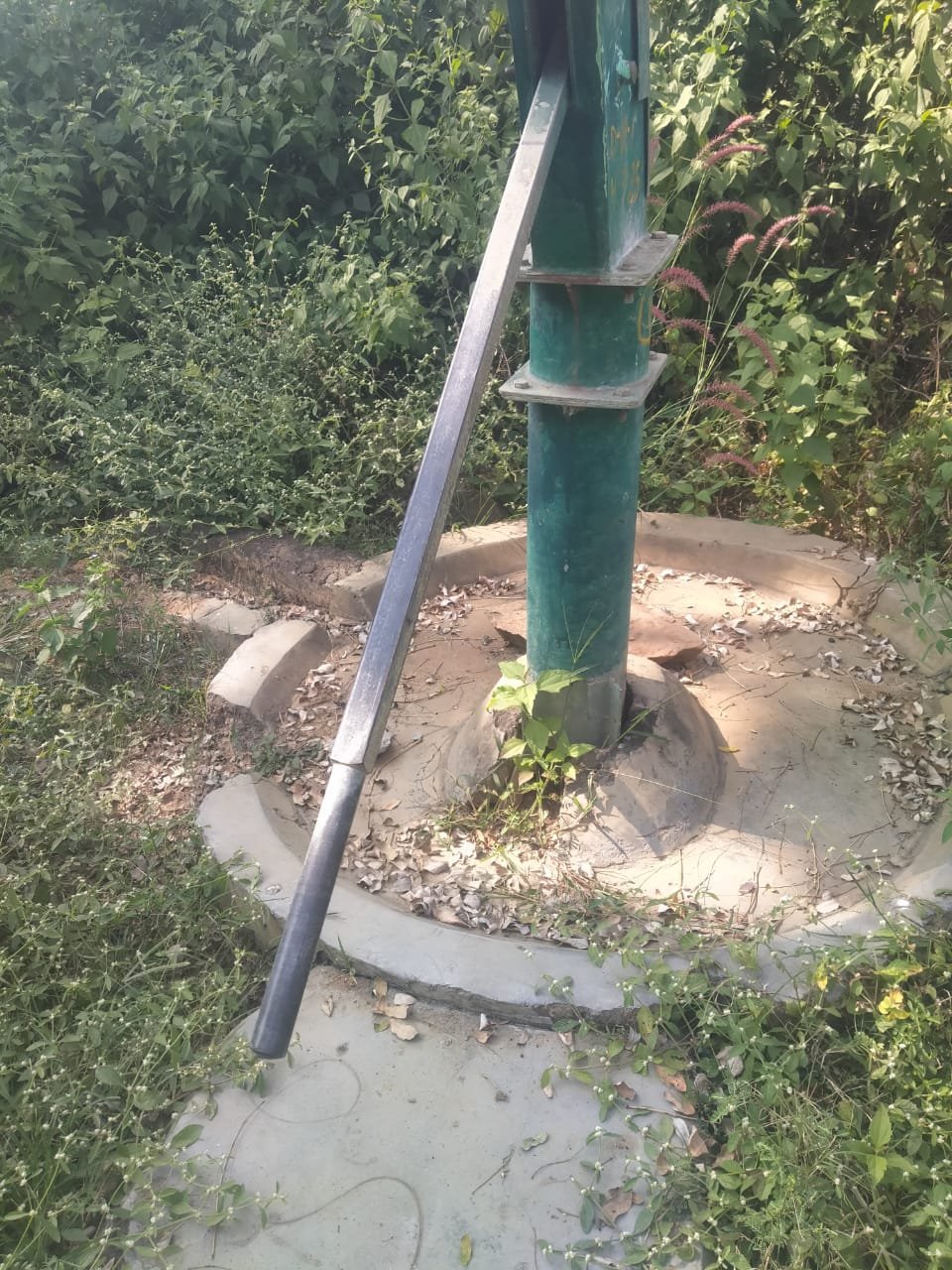 WhatsApp Image 2025-12-10 at 11.55.42 AM