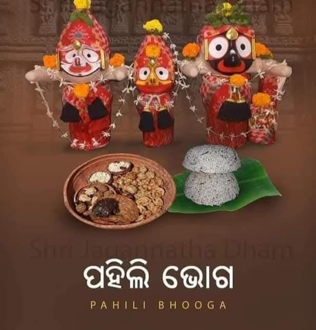 WhatsApp Image 2025-12-16 at 12.01.40 PM