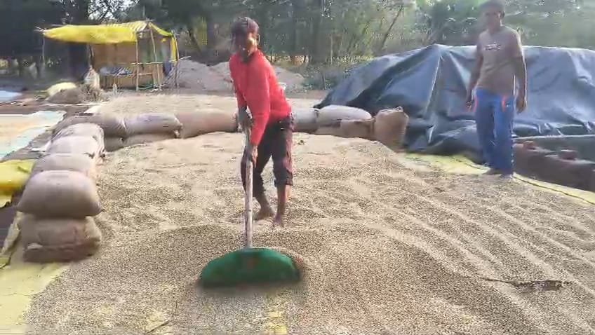 WhatsApp Image 2025-12-16 at 4.40.45 PM