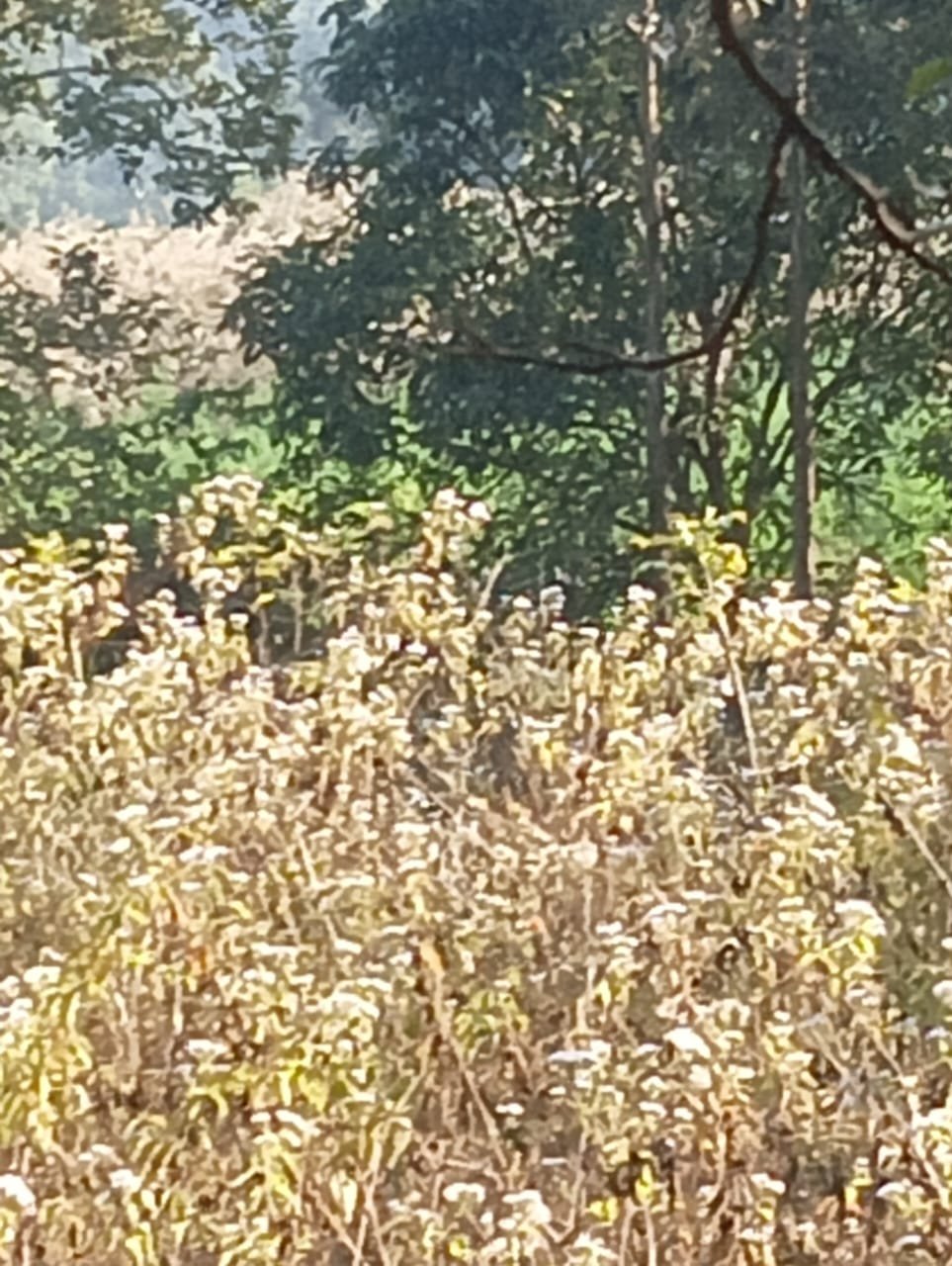 WhatsApp Image 2025-12-31 at 10.10.19 AM