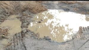 WhatsApp Image 2025-12-31 at 8.20.22 PM (1)