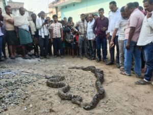 WhatsApp Image 2025-12-31 at 8.22.47 PM