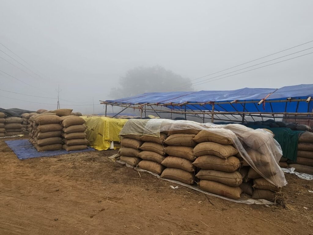 WhatsApp Image 2026-01-01 at 1.53.04 PM