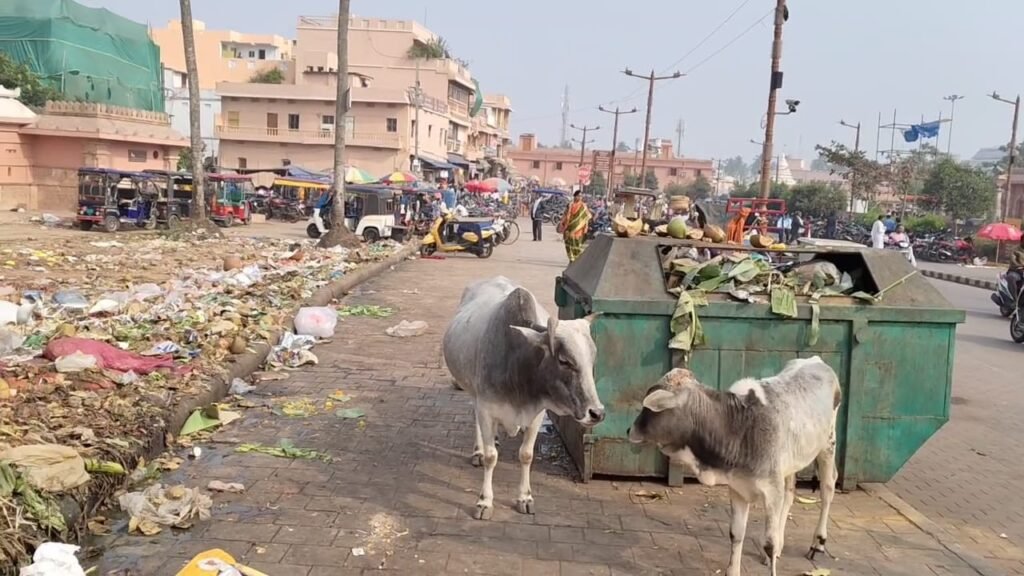 WhatsApp Image 2026-01-10 at 7.40.35 AM (1)