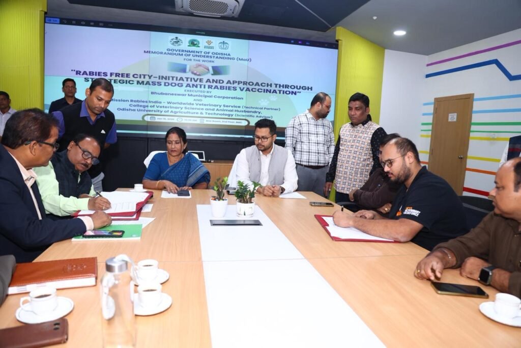 WhatsApp Image 2026-01-16 at 11.48.22 PM