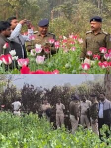 WhatsApp Image 2026-01-29 at 3.57.31 PM