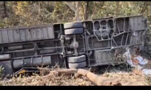 WhatsApp Image 2026-02-11 at 6.11.11 PM