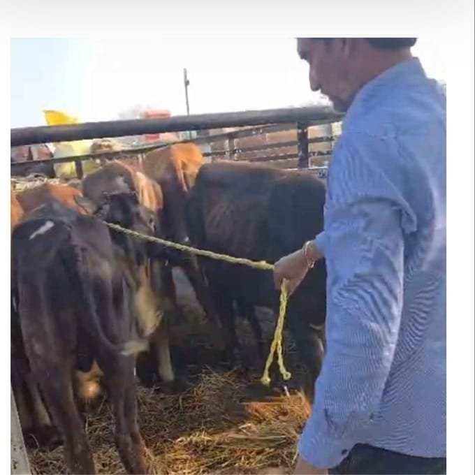 WhatsApp Image 2026-02-16 at 1.25.48 PM