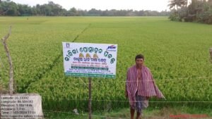 WhatsApp Image 2026-02-16 at 3.36.57 PM