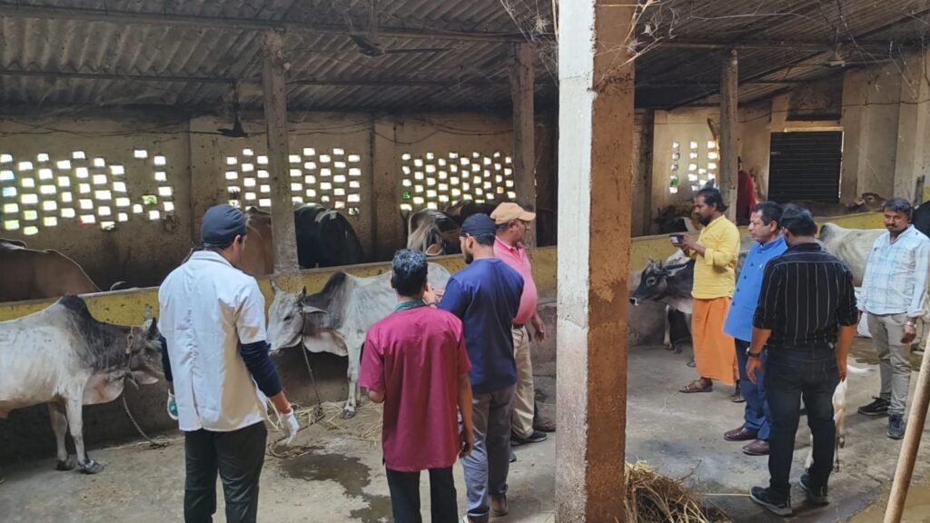 WhatsApp Image 2026-02-18 at 2.50.31 PM