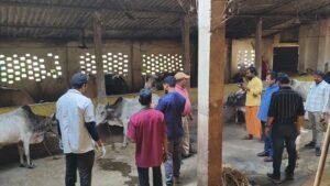 WhatsApp Image 2026-02-18 at 2.50.31 PM