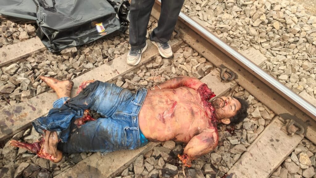 WhatsApp Image 2026-03-10 at 10.45.09 PM (1)