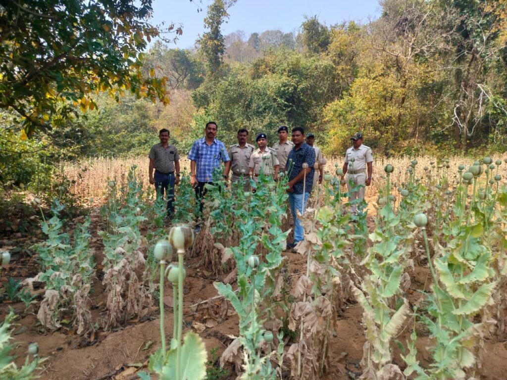 WhatsApp Image 2026-03-13 at 1.17.49 PM