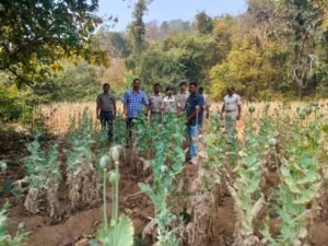 WhatsApp Image 2026-03-13 at 1.17.49 PM