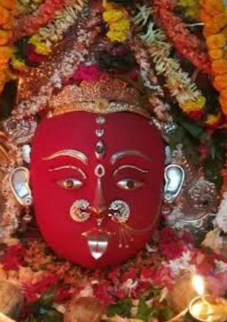 WhatsApp Image 2026-03-14 at 1.27.25 PM