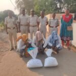 ଚୋରା ଗଞ୍ଜେଇ କାରବାର ରେ ଅବକାରୀ ବିଭାଗ ପକ୍ଷରୁ ତିନି ଗିରଫ