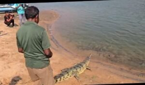 WhatsApp Image 2026-03-30 at 4.24.39 PM