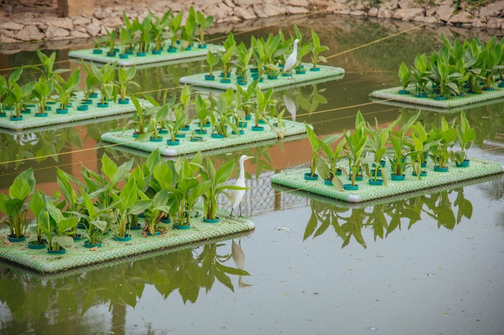 WhatsApp Image 2026-04-07 at 6.49.10 PM