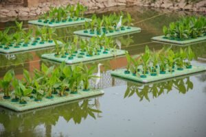 WhatsApp Image 2026-04-07 at 6.49.10 PM