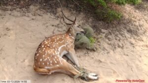 WhatsApp Image 2026-04-09 at 2.40.52 PM (1)