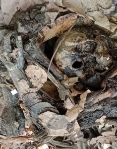 WhatsApp Image 2026-04-09 at 7.40.55 AM