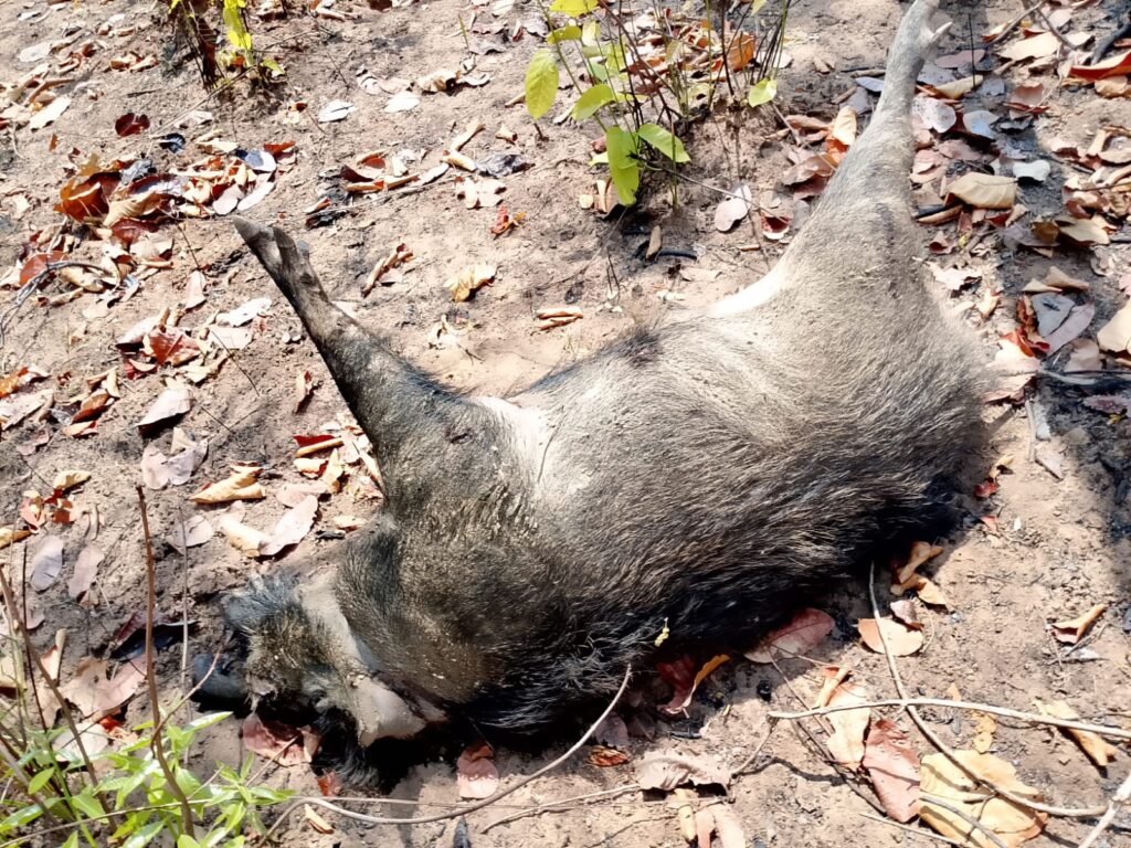 WhatsApp Image 2026-04-22 at 2.09.32 PM