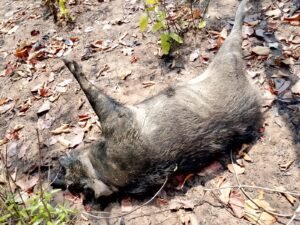 WhatsApp Image 2026-04-22 at 2.09.32 PM