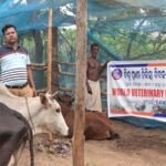 ବିଶ୍ୱ ପ୍ରାଣୀ ଚିକିତ୍ସା ଦିବସରେ ସଂପର୍କ ପକ୍ଷରୁ ପ୍ରାଣୀ ପାଳକଙ୍କ ପାଇଁ ସଚେତନତା ଶିବିର