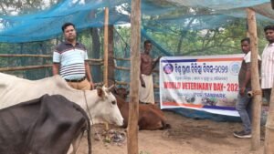 WhatsApp Image 2026-04-26 at 2.32.13 PM (1)