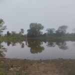  ଗ୍ରୀଷ୍ମଋତୁର ପ୍ରଚଣ୍ଡ ଖରାରେ ଗାଧୋଇବା ସକାଶେ ଡହକବିକଳ ହରିଜନ ପଡ଼ାବାସୀ ଇଚ୍ଛାପୁର