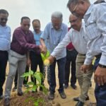 ଆଇ.ଡବ୍ଲ୍ୟୁ.ଡବ୍ଲ୍ୟୁ.ଏ ଓଡ଼ିଶା କେନ୍ଦ୍ର ପକ୍ଷରୁ ବିଶ୍ୱ ପରିବେଶ ଦିବସ ପାଳିତ