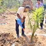 ରାଜ୍ୟ ସରକାରଙ୍କ ଦୁଇ ବର୍ଷ ପୂର୍ତ୍ତି ଅବସରରେ ମେଗା ଅଏଲ ପାମ୍ ବୃକ୍ଷରୋପଣ ଓ କୃଷକ ପ୍ରଶିକ୍ଷଣ କାର୍ଯ୍ୟକ୍ରମ