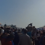 ଆଡ଼ପ ମଣ୍ଡପ ବିରାଜମାନ କରିଛନ୍ତି ମହାପ୍ରଭୁ