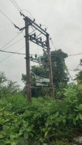WhatsApp Image 2026-07-30 at 11.16.09 AM (1)