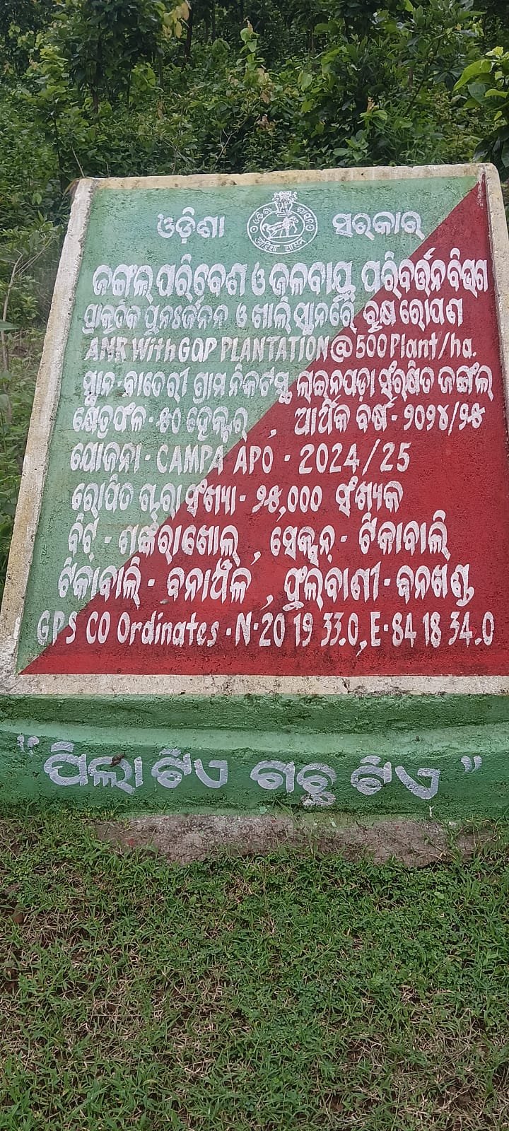 WhatsApp Image 2026-08-06 at 11.03.45 AM