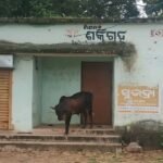 କାମରେ ଆସୁନି ମିଶନ ଶକ୍ତି ଗୃହ