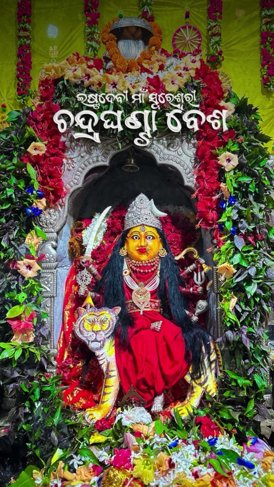 WhatsApp Image 2026-10-13 at 2.53.56 PM