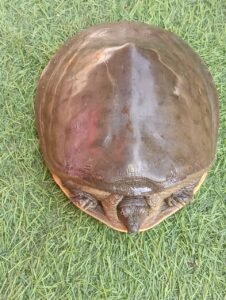 WhatsApp Image 2026-10-26 at 1.59.45 PM